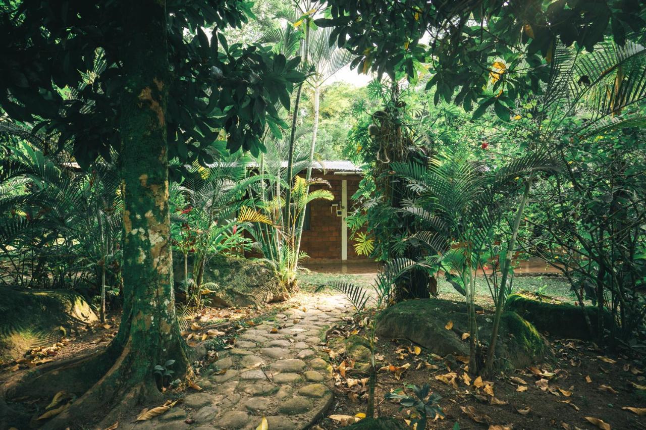 Huingos Eco Lodge Tarapoto Εξωτερικό φωτογραφία