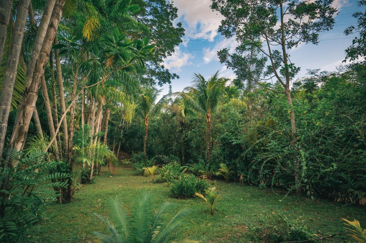 Huingos Eco Lodge Tarapoto Εξωτερικό φωτογραφία