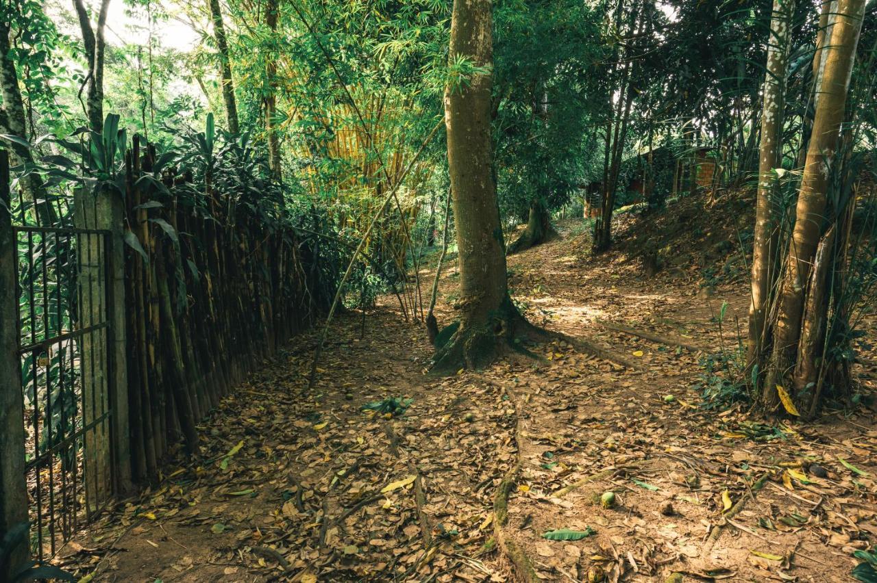 Huingos Eco Lodge Tarapoto Εξωτερικό φωτογραφία
