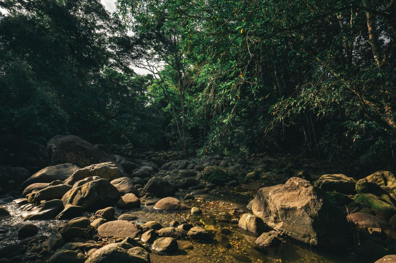 Huingos Eco Lodge Tarapoto Εξωτερικό φωτογραφία