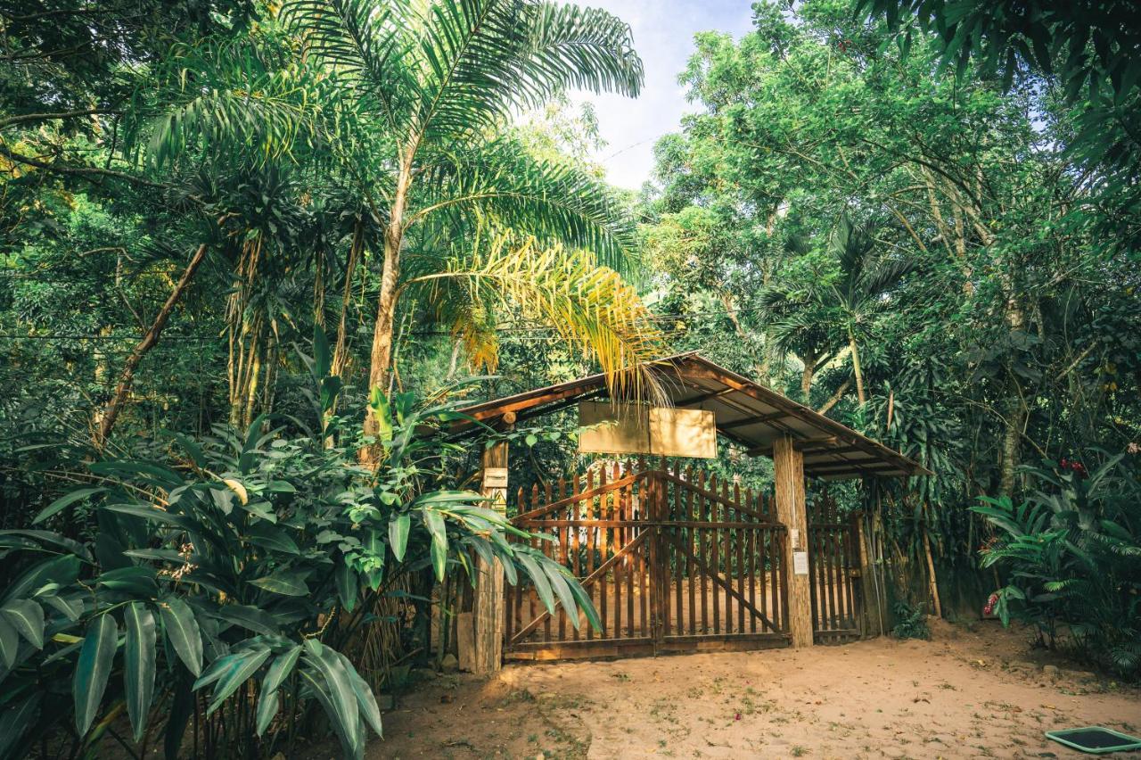 Huingos Eco Lodge Tarapoto Εξωτερικό φωτογραφία
