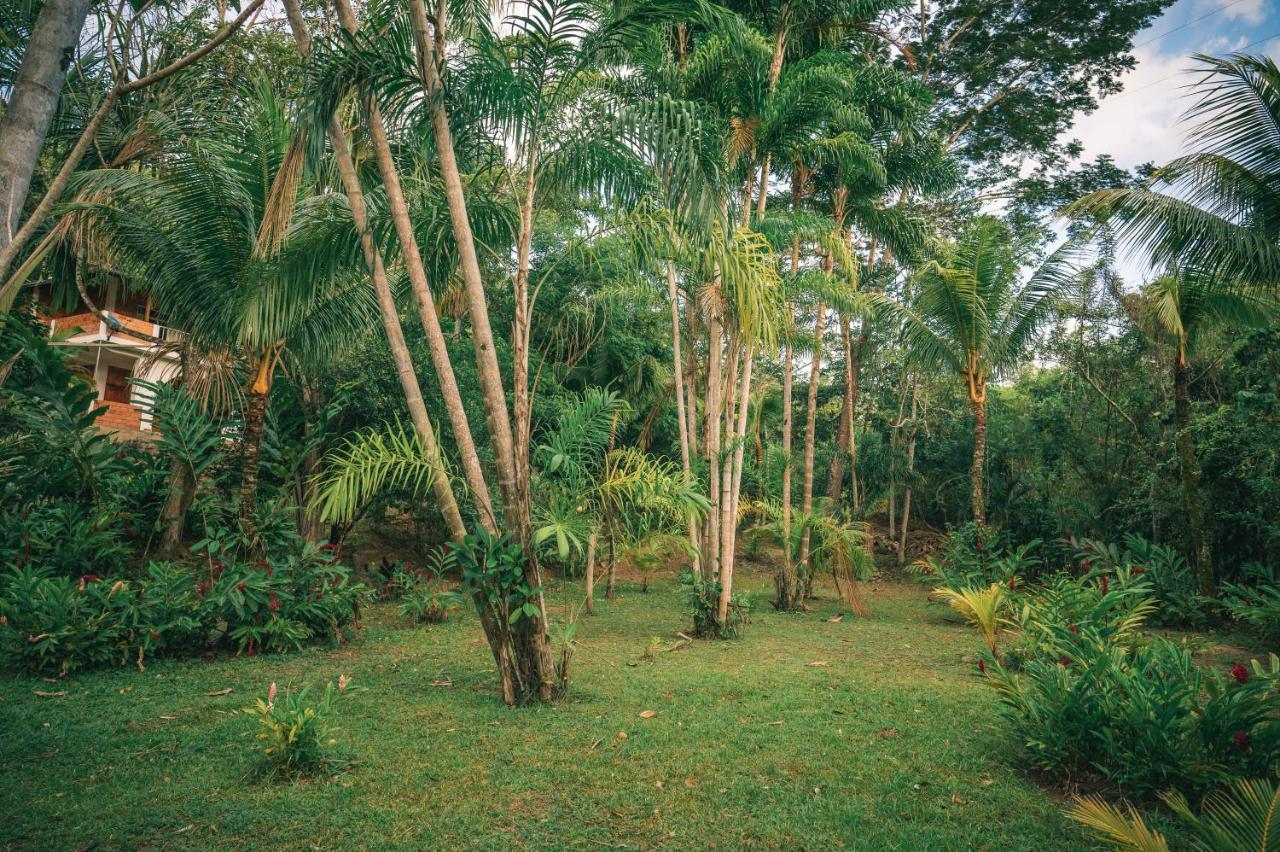 Huingos Eco Lodge Tarapoto Εξωτερικό φωτογραφία