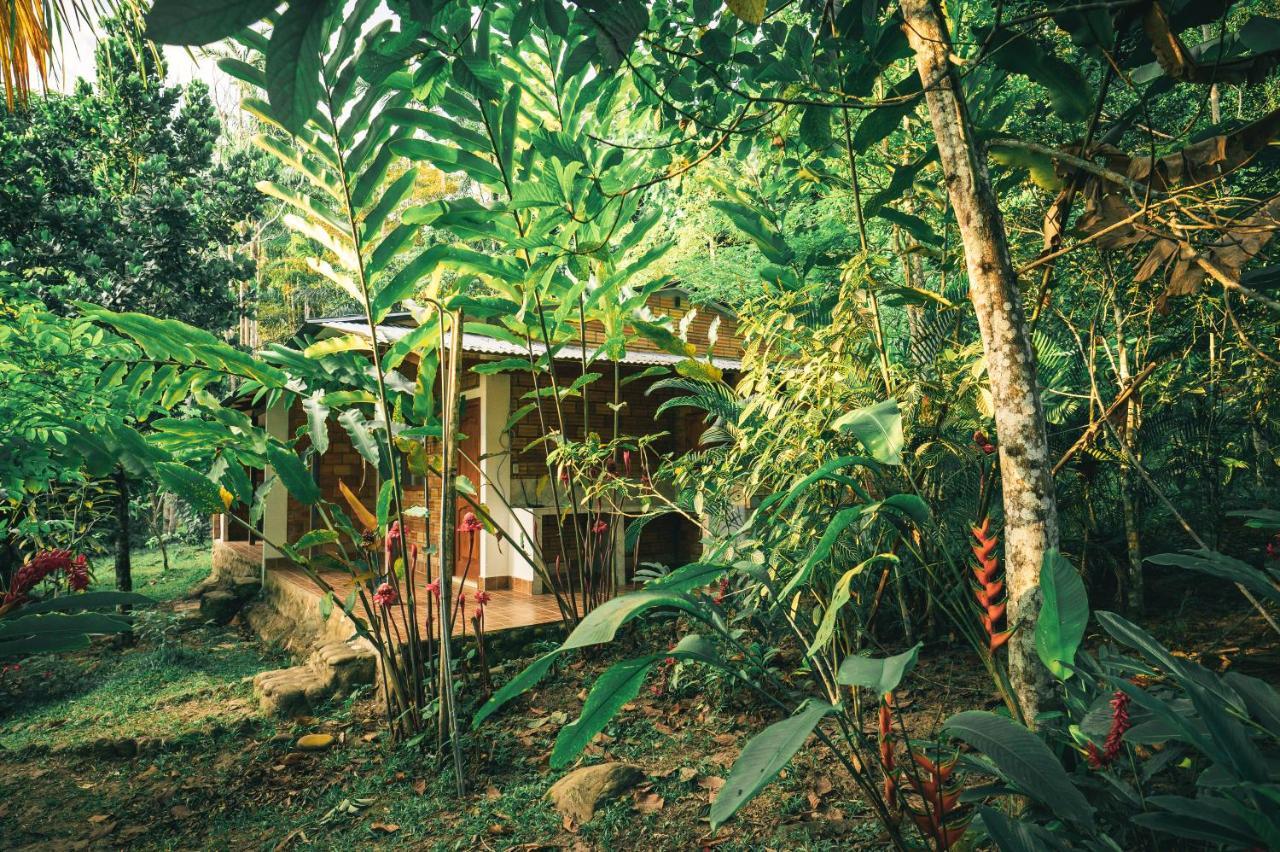 Huingos Eco Lodge Tarapoto Εξωτερικό φωτογραφία