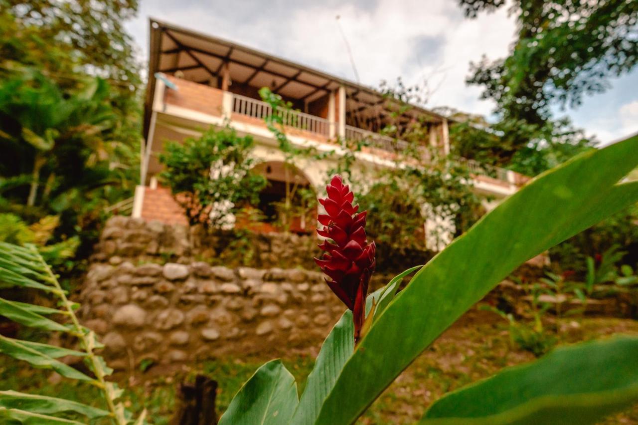 Huingos Eco Lodge Tarapoto Εξωτερικό φωτογραφία