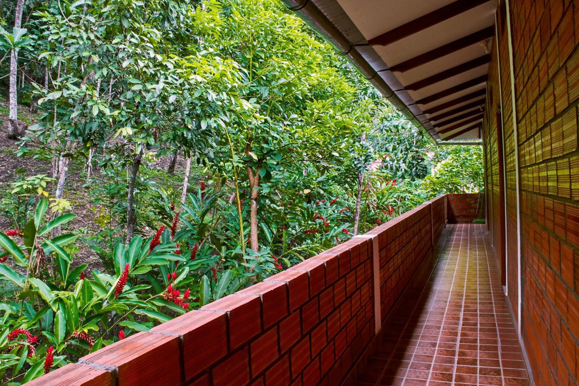 Huingos Eco Lodge Tarapoto Εξωτερικό φωτογραφία
