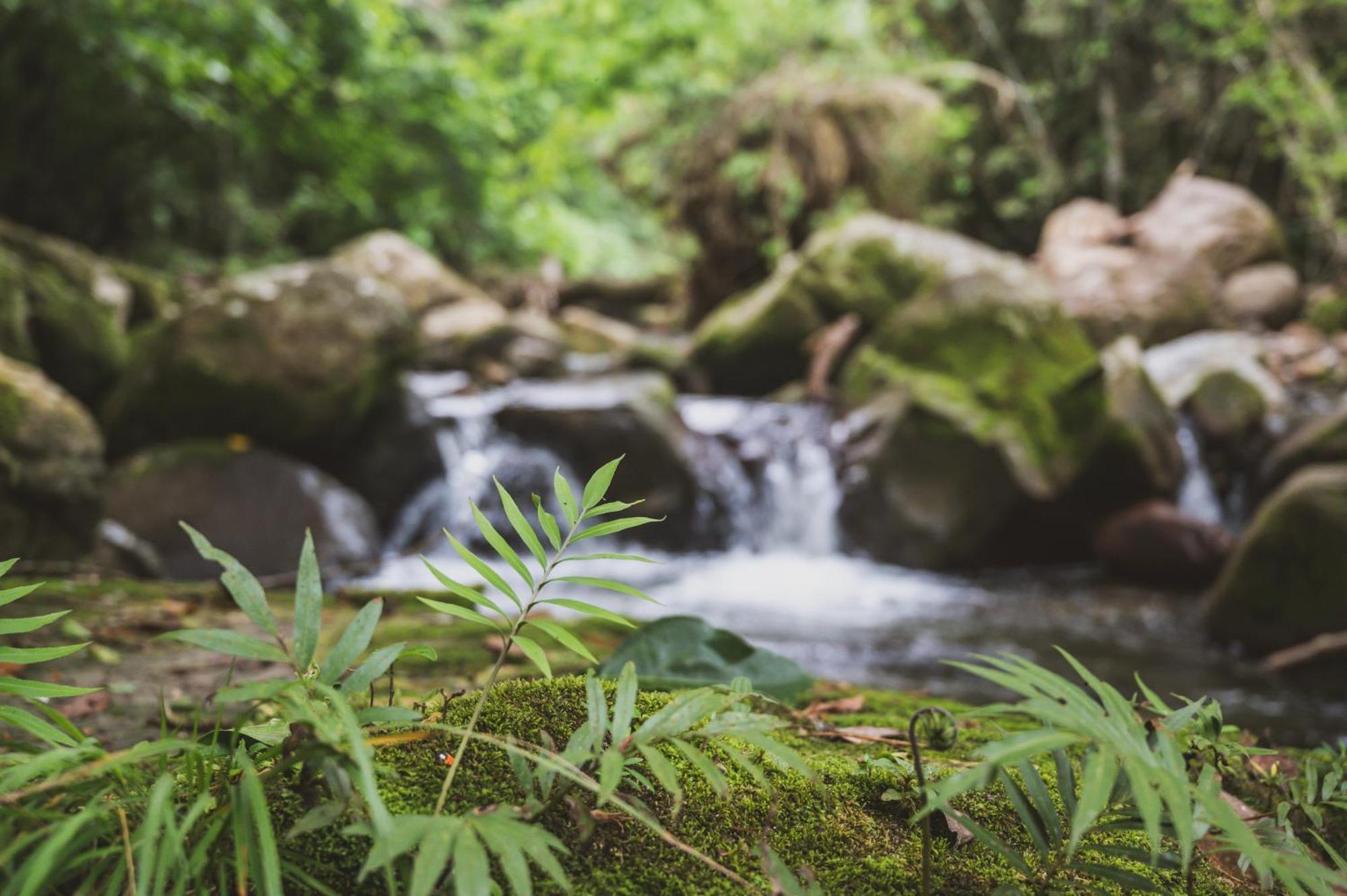 Huingos Eco Lodge Tarapoto Εξωτερικό φωτογραφία