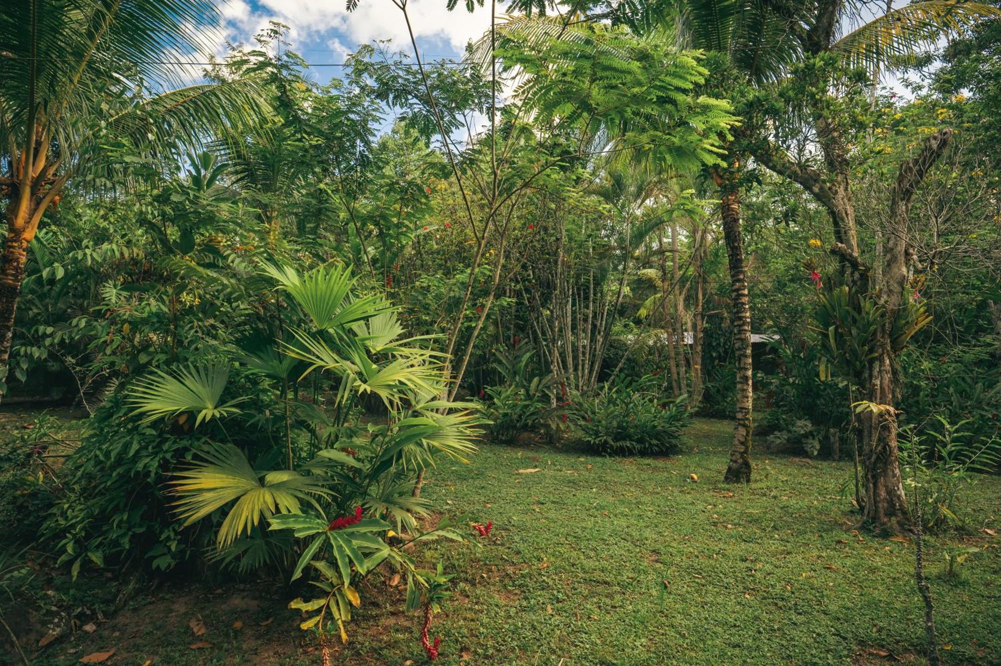Huingos Eco Lodge Tarapoto Εξωτερικό φωτογραφία