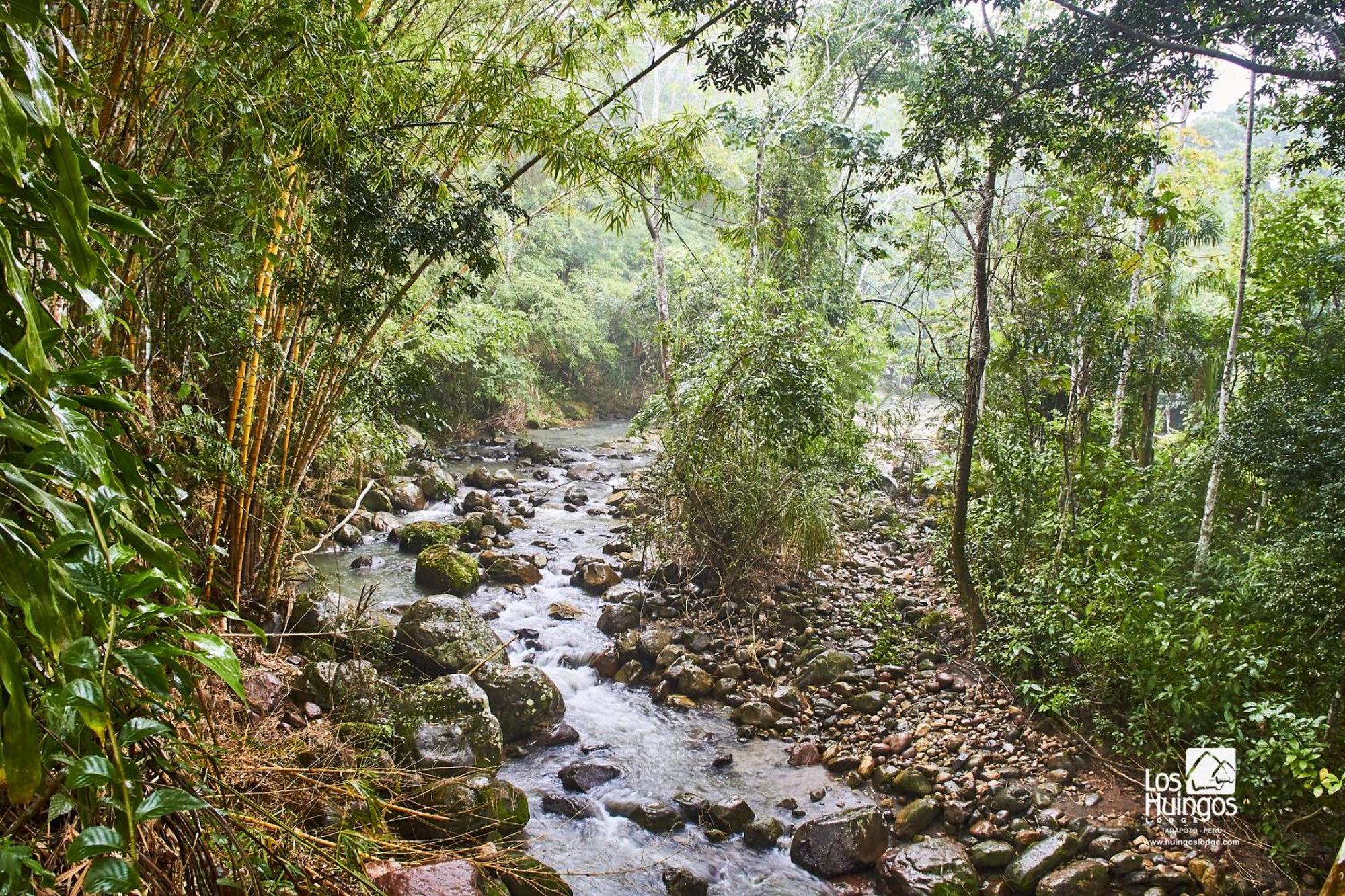 Huingos Eco Lodge Tarapoto Εξωτερικό φωτογραφία