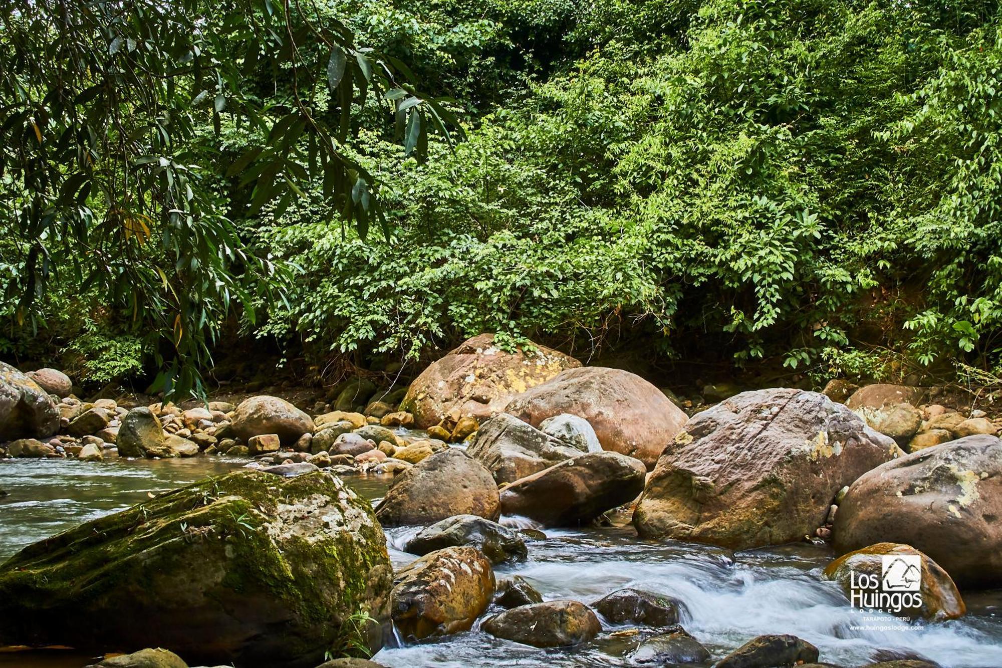 Huingos Eco Lodge Tarapoto Εξωτερικό φωτογραφία
