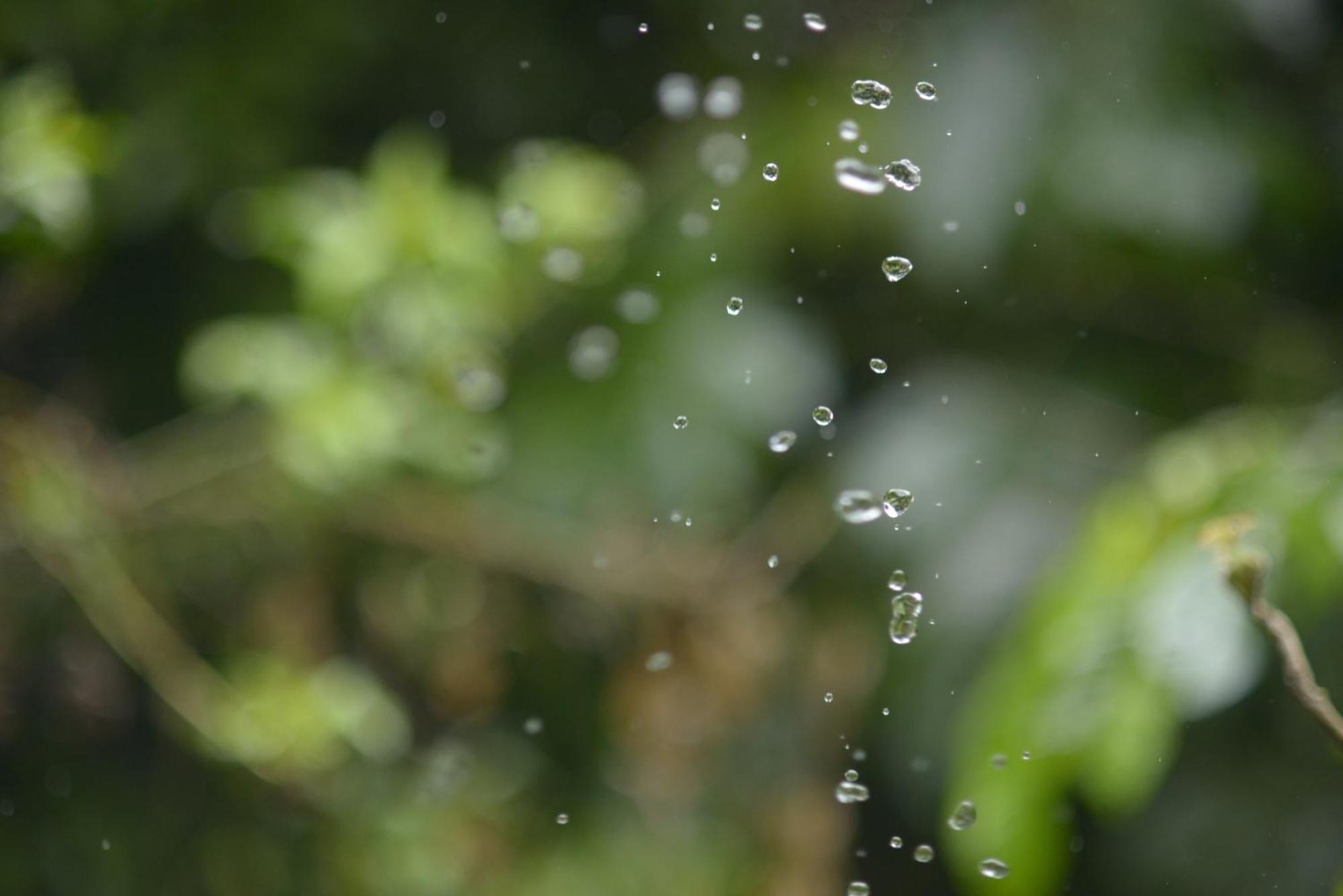 Huingos Eco Lodge Tarapoto Εξωτερικό φωτογραφία