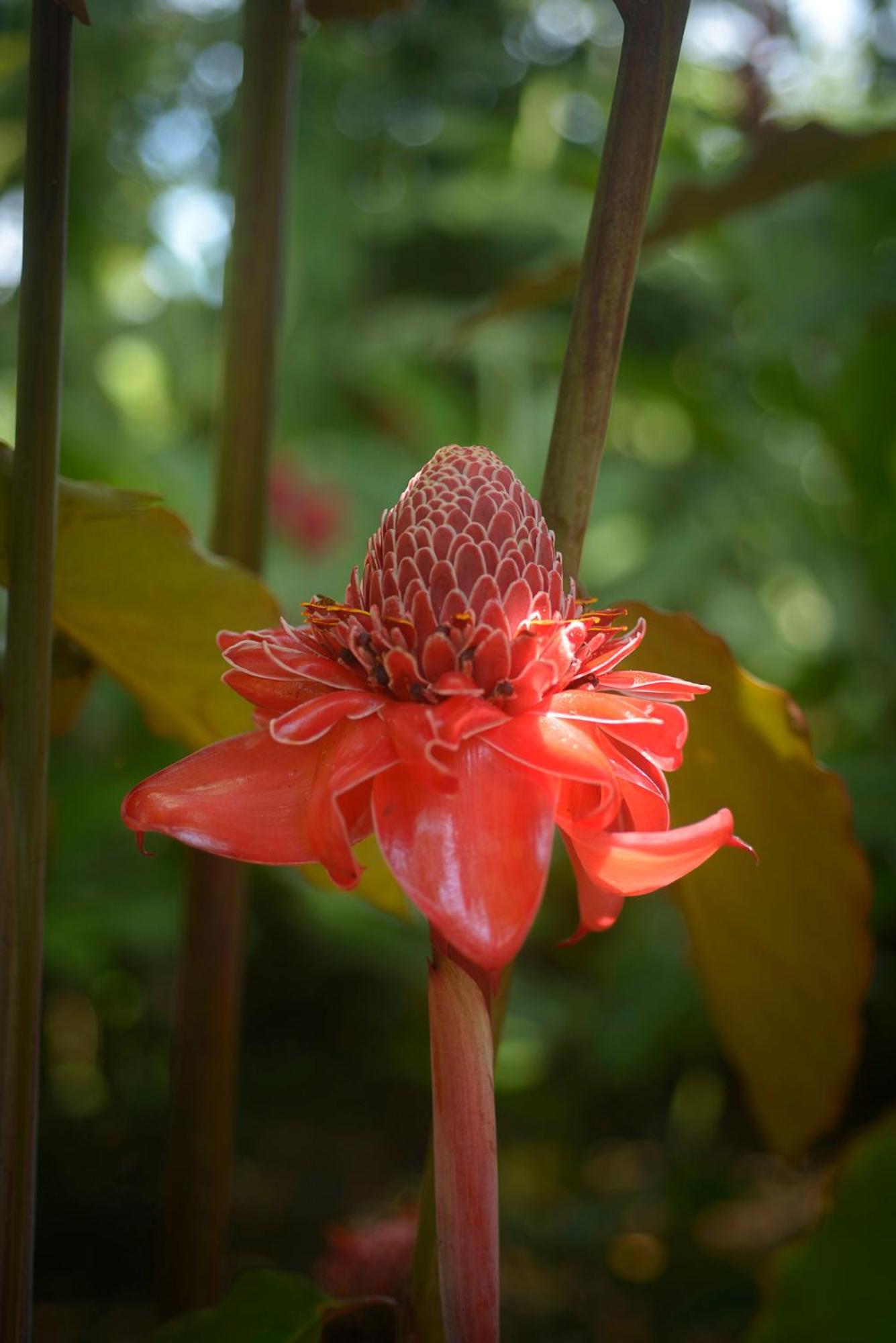 Huingos Eco Lodge Tarapoto Εξωτερικό φωτογραφία